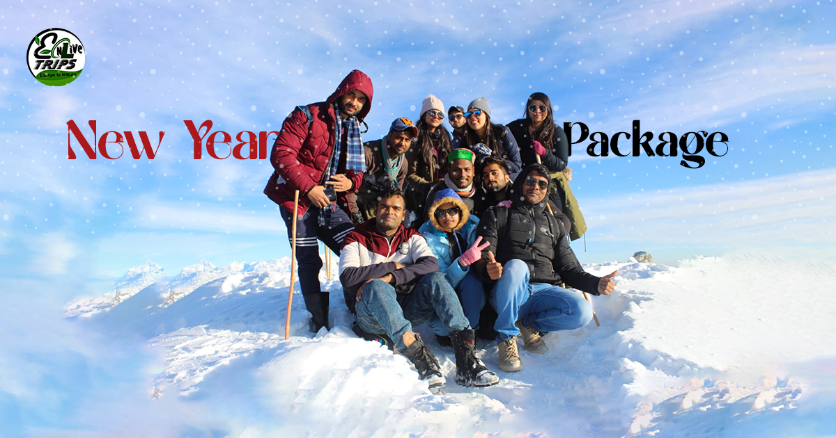 Top 20 Best Places to Celebrate New Year & Christmas 2025-2026